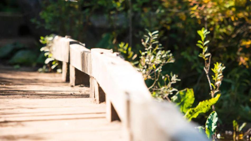 A small wooden bridge on the Trans Canada trail. 