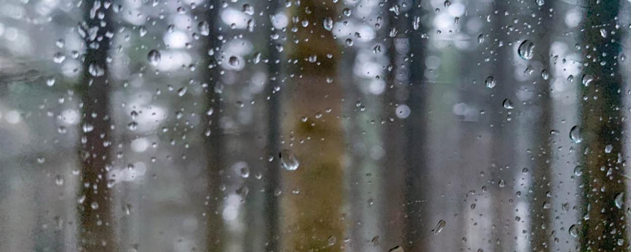 rain