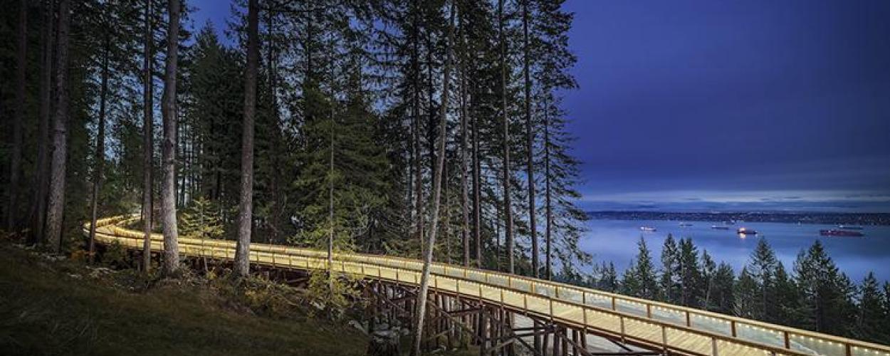 Trestle bridge going into forest