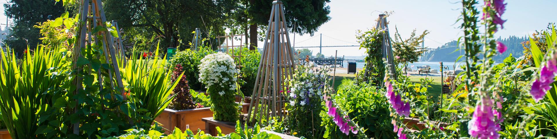 Community Gardens